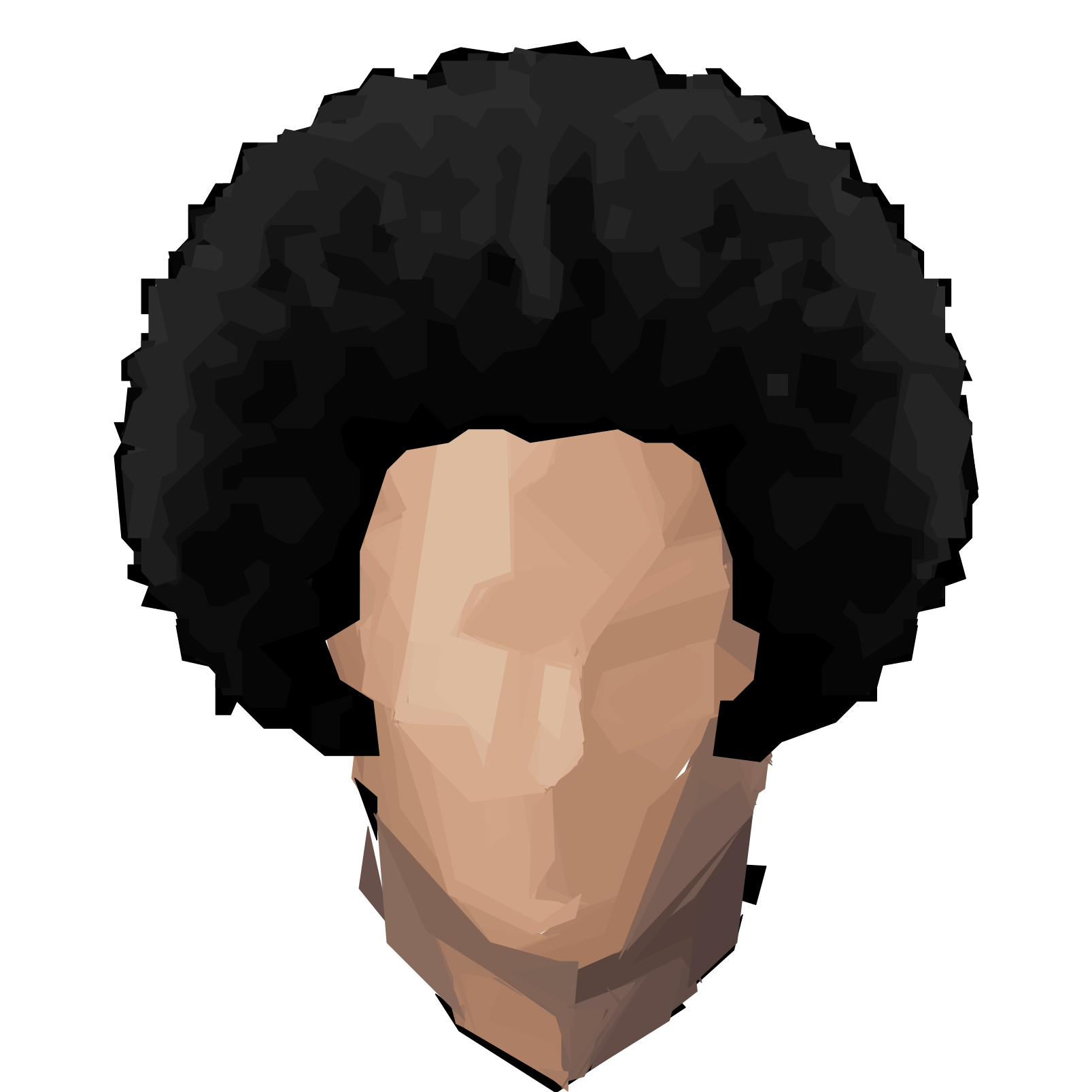 Hair: Afro Black