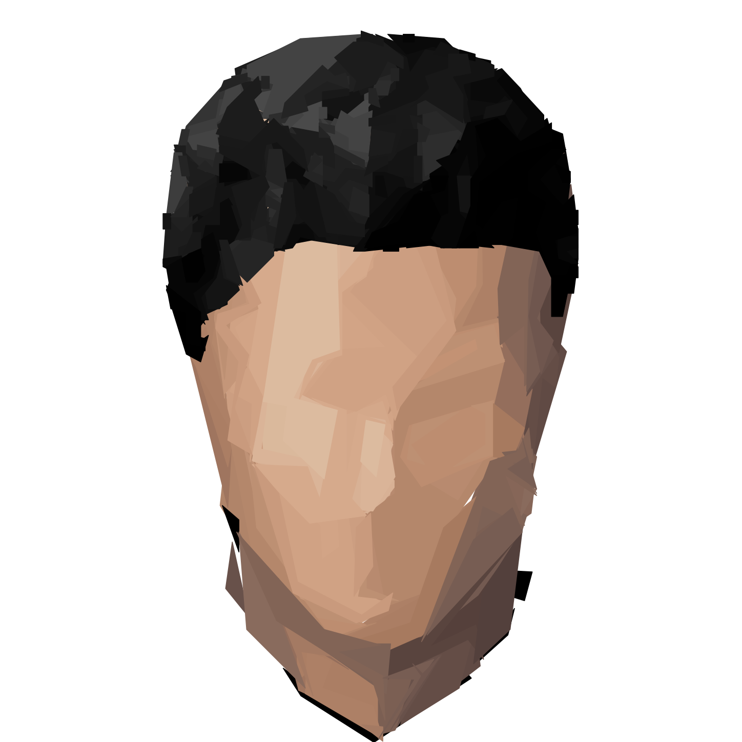 Hair: Short Black