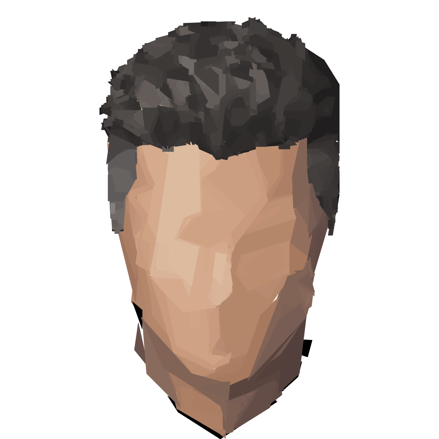 Hair: Undercut Gray