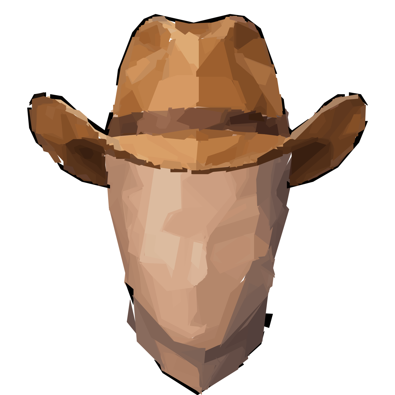 Hat: Cowboy
